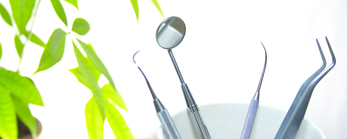 MEGUMI DENTAL CLINIC